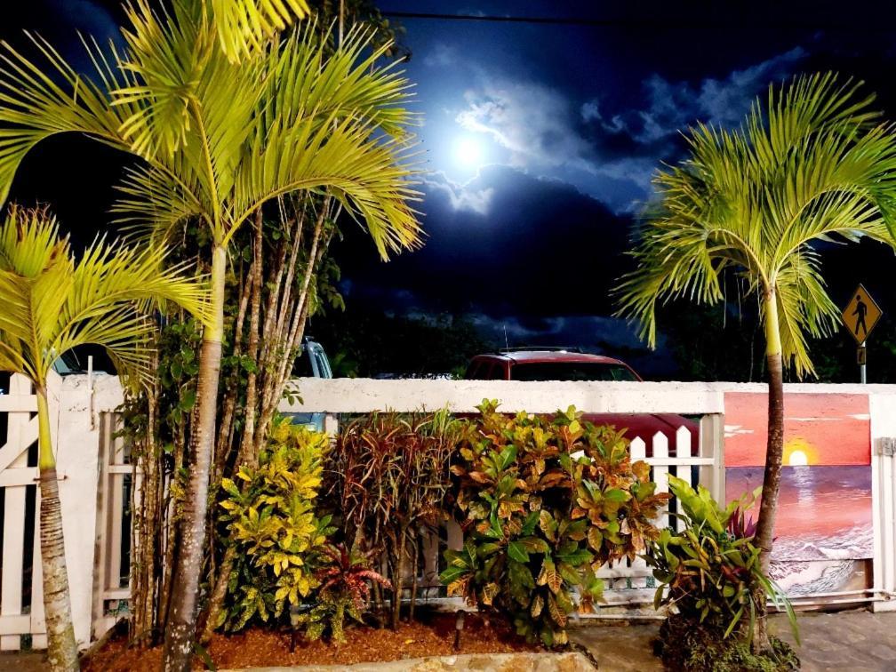Beya Suites Punta Gorda Dış mekan fotoğraf