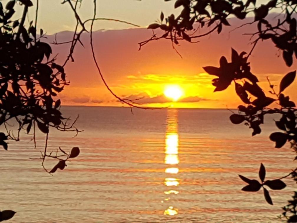 Beya Suites Punta Gorda Dış mekan fotoğraf