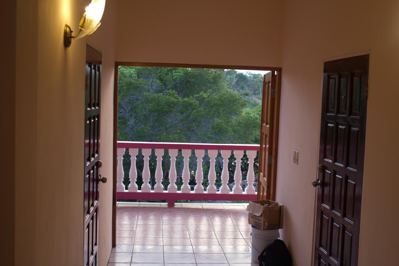 Beya Suites Punta Gorda Dış mekan fotoğraf